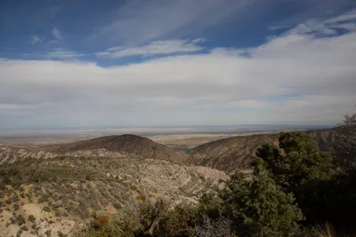 DSC_6261 (Large).JPG